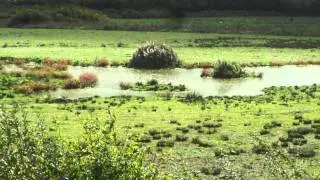 Lee Valley Park