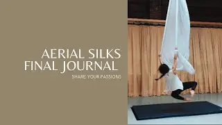 Aerial Silks | Final Journal
