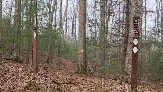 Dyer gap, cohuttas, ga, usfs 64. This is where you can access the northern terminus of the pinhoti