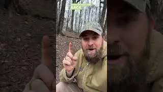 Cutting Trees To Improve Biodiversity