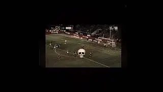 BRIAN HEYNEN💀