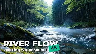 Deep Sleep River Sounds 💧 Crystal Clear Water & Forest Ambience