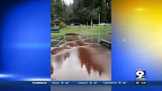 Alleged vandalism closes skate park, tennis courts at Mingus Park in Coos Bay