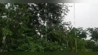Monsoon Nature Status || #Monsoon #rain videos || Rain Status Video || Baarish Video || Rainy season