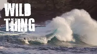 Wild Thing - Surfing mutant waves at Bronte Beach