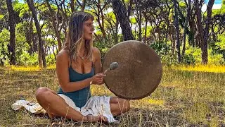 Shamanic Drumming for Inner Peace | Live Meditation in an Ancient Forest