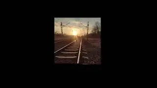 Płotka - 