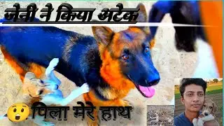 Jani ne kiya attack first blog Raja Street farm Gujarat 