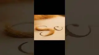 The Pen That Grows Fur Instead of Ink