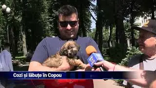 Cozi și lăbuțe &icirc;n Copou