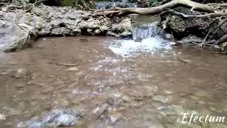 Karnataka focus at yana