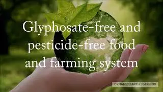 Glyphosate damages microbiota