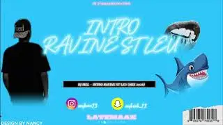 DJ MEL  -  INTRO RAVINE ST LEU (MIX 2026)