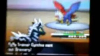 Pokemon Black- Sinnoh Champion Cynthia