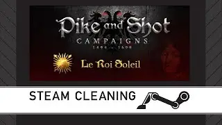Steam Cleaning - Pike and Shot : Campaigns