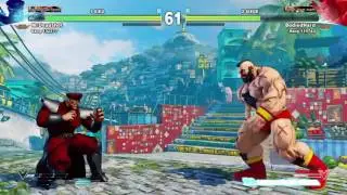 Anti-Turtle Bison