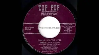 James Lewis Fields - I Really Love You [Top Pop] 1973 Crossover Soul 45