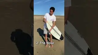 3 Most Dangerous Areas of a Surfboard.