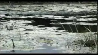 Chemical vs. Biological Wastewater Treatment Part 1