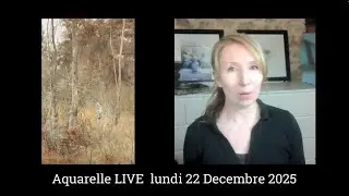 Janine Gallizia AQUARELLE LIVE 22 d&eacute;c 2025. Invit&eacute; au LIVE- Sennelier & l'&eacute;motion dans vos peintures