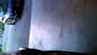 Civic crow call exhaust hahaha