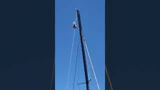 Tangled in mast rigging