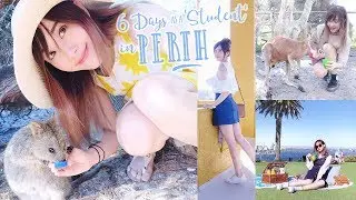 6 Days as a 'Student' in Perth | Jess Yamada