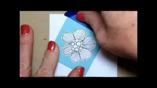 Lining Up Coordinating Stamps and Dies by Kim O'Connell