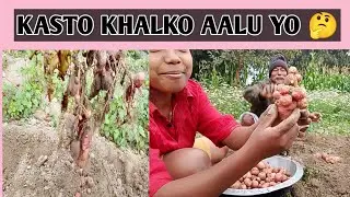 AAJA GARYO KAM!