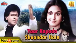 Yaar Kapada Shaandar Hain 80's Songs - Meenakshi Seshadri | Mahendra Kapoor | Painter Babu