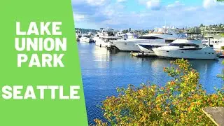 South Lake Union Park (body of water) | Seattle Guide | Online Quarantine Trip | Sheena Gupta