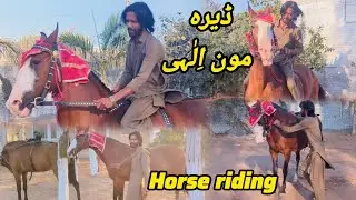 Horse riding || Dera Moon ELLAHI Saab &hearts;️ ka ghoriyan ka Shok 