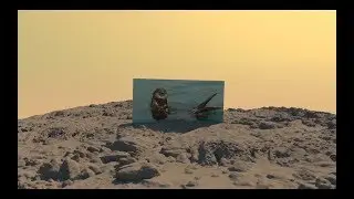 K-Conjog - Millennials Otters