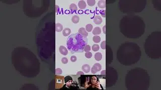 Monocyte Characteristics