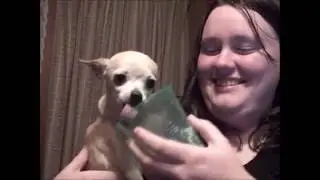 At The Table 2016: Peanut wants Ice Cream from a cup!