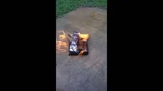 Nectar Sunglasses Burning
