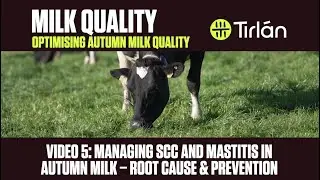 Autumn Milk Quality Video 5 - Managing SCC & Mastitis in Autumn Milk - Root Cause & Prevention