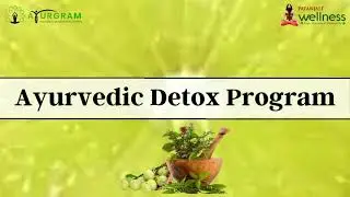 Ayurvedic Detox Program & it's Benefits | Ayurgram Wellness & Naturopathy Hospital
