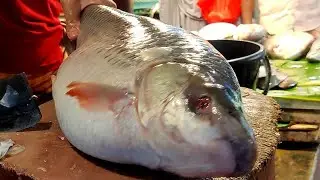 Big Rohu Fish Cutting at Home in Bangladesh | Fish Cutting Skills | Fish | Big Fish