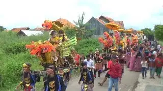 Burok TPJ Live Kalibangka