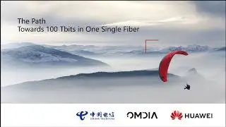 The Path Towards 100Tbps in One Single Fiber