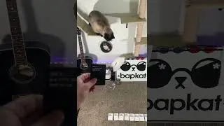Cards Against Humanity