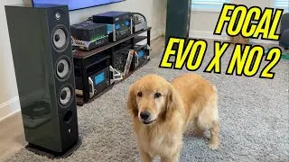Can You Hear the Difference With Focal Evo X2?