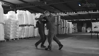 Systema principles: Vectors