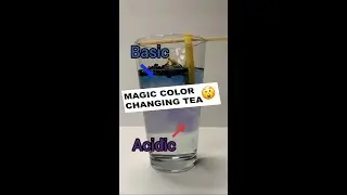 Color Changing Tea! 😲🍵 Butterfly Pea Flower #chemistry #shorts #science