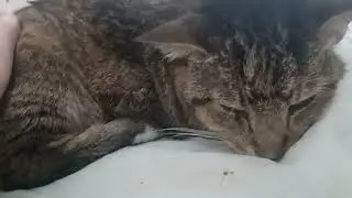 Comforting sick baby
