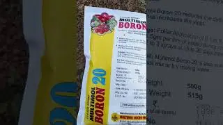 Multimol BORON 20% boron A micronutrient fertilizer