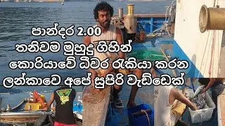 South korean fishing job #කොරියාවේ  ධිවර රස්සාව කරන මමයි යාලුවයි තනියම පාන්දර 2.00 තමයි මුහුදු යන්නෙ