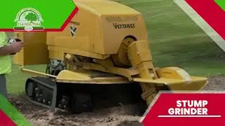 🌳 Canary Tree Services INC &ndash; Trusted Tree Experts in Dallas, TX 🌳
