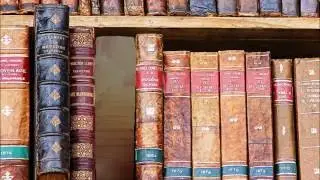 Sherlock Herms in Behind the Bookcase